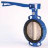 lever butterfly valve